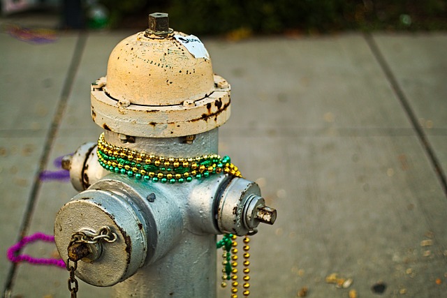 mardi gras beads